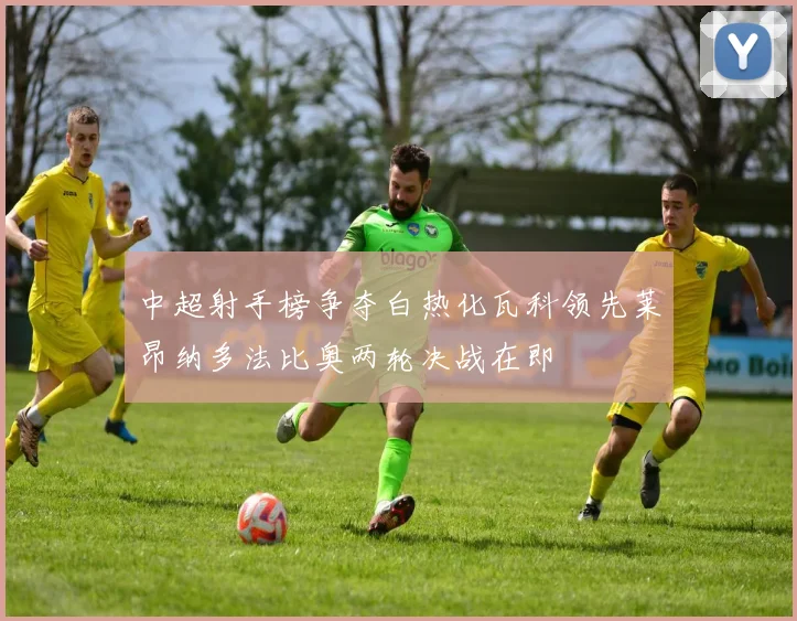 中超射手榜争夺白热化瓦科领先莱昂纳多法比奥两轮决战在即