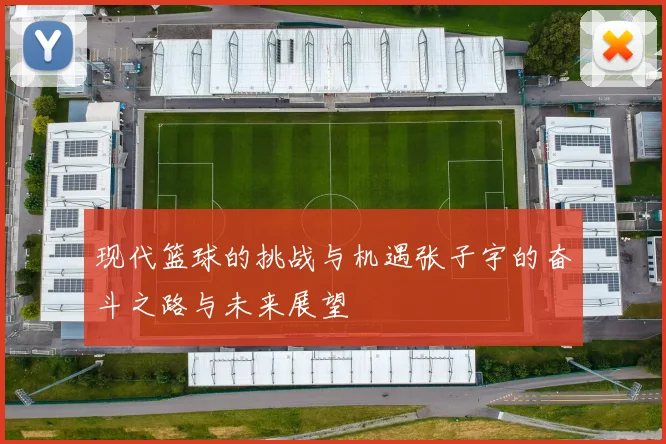 现代篮球的挑战与机遇张子宇的奋斗之路与未来展望