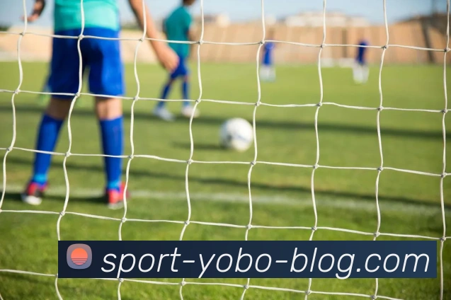 yobo体育发展历程